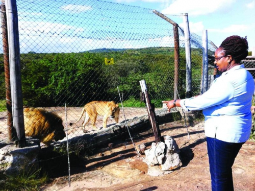You're starving dad's lions, Mutula Kilonzo Junior tells his stepmum. | kenyapoa